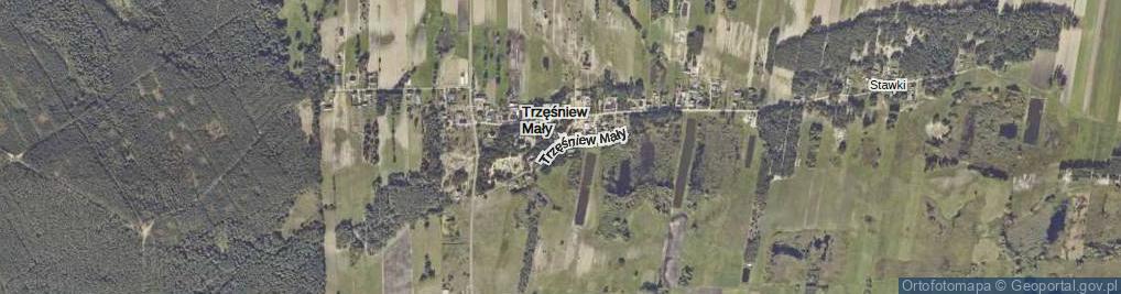 Zdjęcie satelitarne Trzęśniew Mały ul.